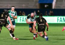 Benetton Rugby, debutto europeo a Castres: Lamaro festeggia le 100 presenze, Pivac sceglie i titolari Benetton Rugby-Castres