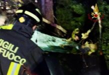 Tragedia a Jesolo, platano cade su un’auto in corsa: muore un militare di 46 anni Incidente mortale a Jesolo, platano cade su auto in transito