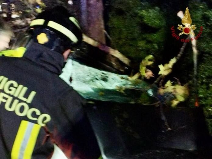 Incidente mortale a Jesolo, platano cade su auto in transito Incidente mortale a Jesolo, platano cade su auto in transito