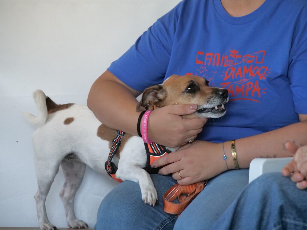 Pet Therapy a Mestre, “Diamoci la Zampa” - Notizie Plus