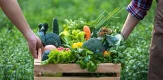 Agricoltura veneta seconda in Italia per produzione regionale annua Verona valore aggiunto export agroalimentare costi di produzione