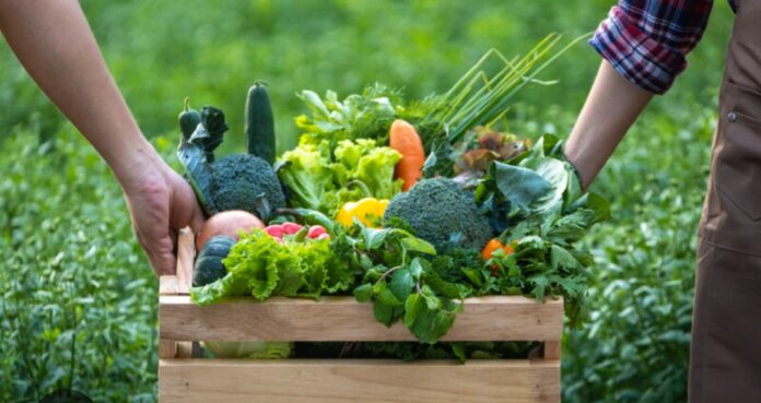 Verona valore aggiunto export agroalimentare costi di produzione Verona valore aggiunto export agroalimentare costi di produzione