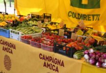 Campagna Amica al Ca’ Foncello: per la prima volta il mercato degli agricoltori arriva in ospedale Coldiretti Treviso Settimana della Salute Filiera corta Tracciabilità alimentare