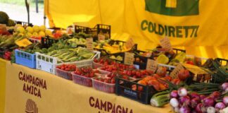 Campagna Amica al Ca’ Foncello: per la prima volta il mercato degli agricoltori arriva in ospedale Coldiretti Treviso Settimana della Salute Filiera corta Tracciabilità alimentare
