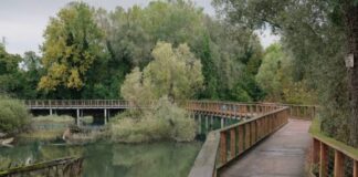 Parchi del Veneto, risorse per la salvaguardia. Si interverrà anche sul Sile Parco del Delta del Po Parco del Fiume Sile Porto Caleri Aree umide