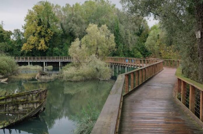 Parco del Delta del Po Parco del Fiume Sile Porto Caleri Aree umide Parco del Delta del Po Parco del Fiume Sile Porto Caleri Aree umide