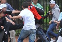 Giovani, la CNA di Treviso dopo le violenze: «Portiamo gli artigiani nelle scuole» CNA Unimpresa Treviso, violenza giovanile, Stati generali dei giovani, artigiani nelle scuole
