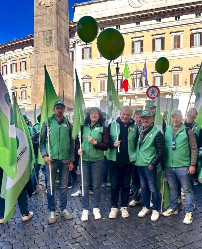 caro carburante Giorgio Puppin Salvatore Feletti rincaro dei fertilizzanti caro carburante Giorgio Puppin Salvatore Feletti rincaro dei fertilizzanti