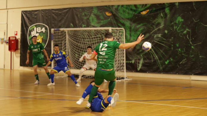 L84 Torino-Came Treviso 5-2 - Notizie Plus L84 Torino-Came Treviso 5-2 - Notizie Plus